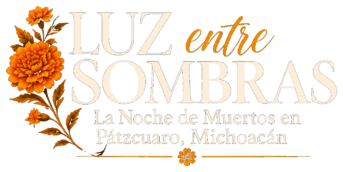 logo luz entre sombras